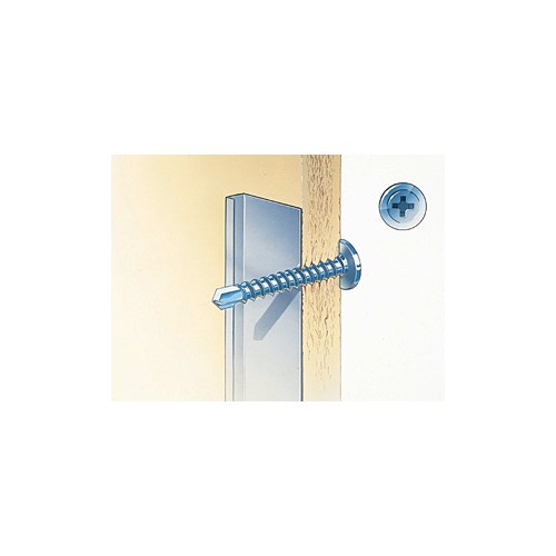 SKRUE GRABBER TSE 4,2X31MM MED SKIVEHODE-BORSPISS schneider electric